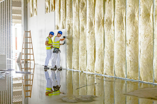 Eco-Friendly or Green Insulation Solutions in Trussville, AL